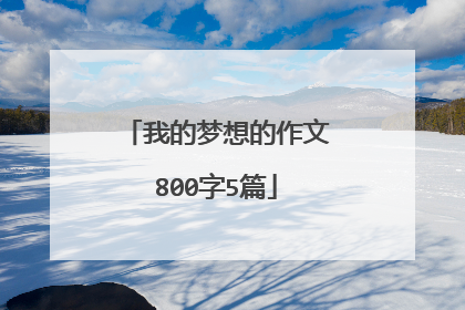 我的梦想的作文800字5篇