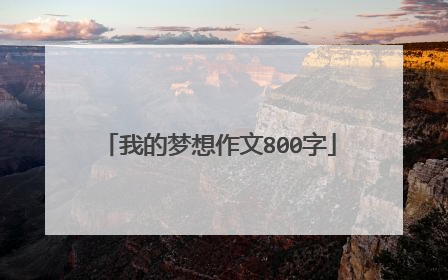 我的梦想作文800字