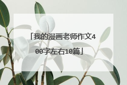 我的漫画老师作文400字左右10篇