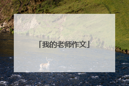 我的老师作文