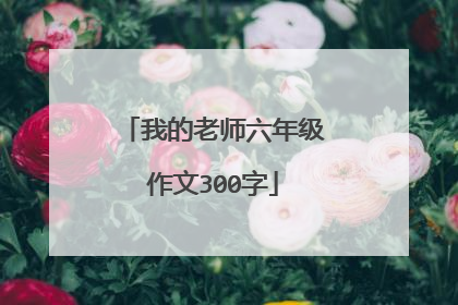我的老师六年级作文300字