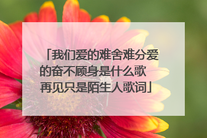我们爱的难舍难分爱的奋不顾身是什么歌 再见只是陌生人歌词