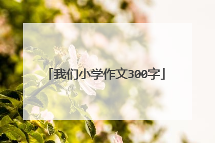 我们小学作文300字