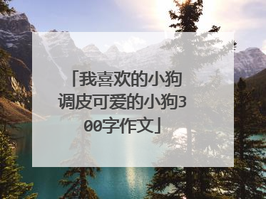 我喜欢的小狗 调皮可爱的小狗300字作文