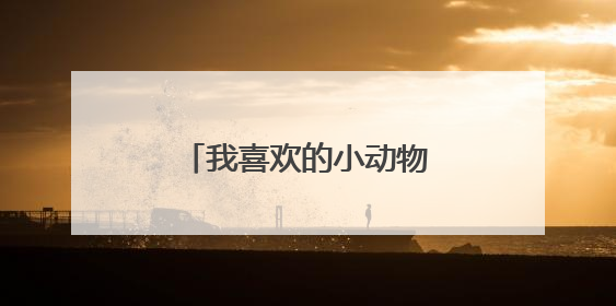 我喜欢的小动物作文300字