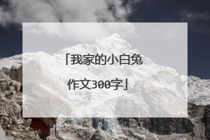 我家的小白兔作文300字
