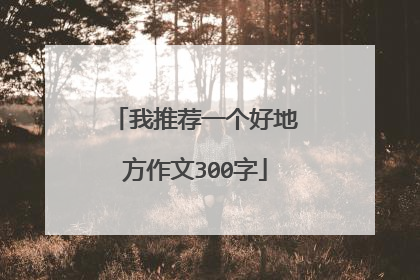 我推荐一个好地方作文300字