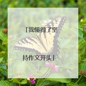 我懂得了坚持作文开头