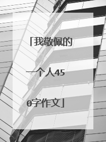 我敬佩的一个人450字作文