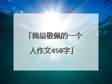 我最敬佩的一个人作文450字