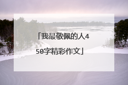 我最敬佩的人450字精彩作文