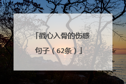 戳心入骨的伤感句子（62条）