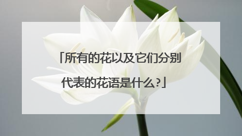 所有的花以及它们分别代表的花语是什么?