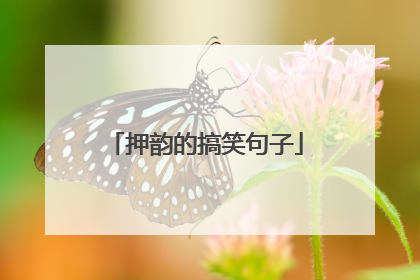 押韵的搞笑句子