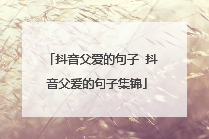 抖音父爱的句子 抖音父爱的句子集锦