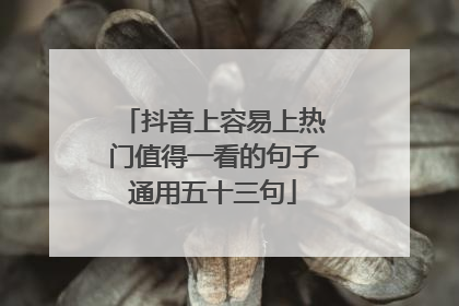 抖音上容易上热门值得一看的句子通用五十三句