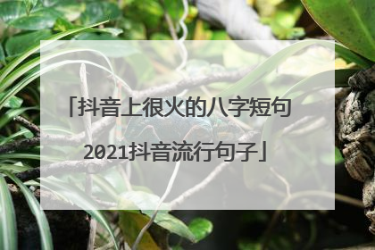 抖音上很火的八字短句 2021抖音流行句子