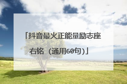 抖音最火正能量励志座右铭 (通用60句)
