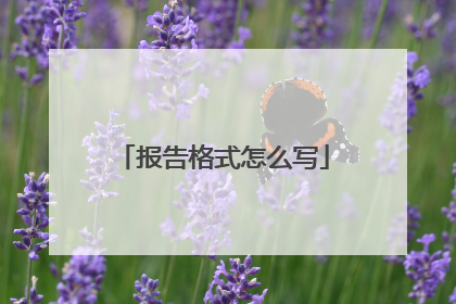 报告格式怎么写