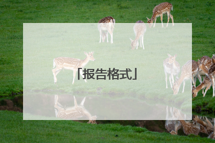 报告格式