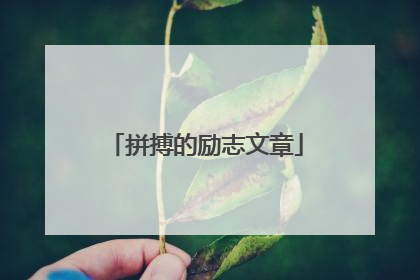 拼搏的励志文章