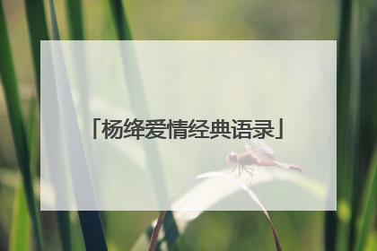 杨绛爱情经典语录