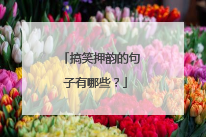 搞笑押韵的句子有哪些？