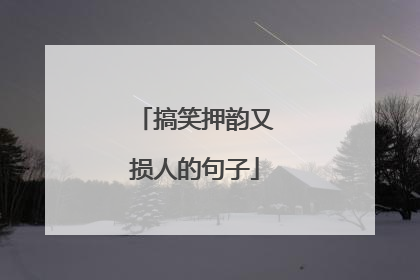 搞笑押韵又损人的句子