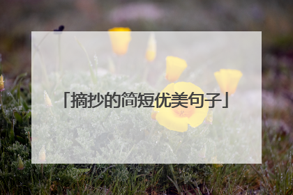 摘抄的简短优美句子
