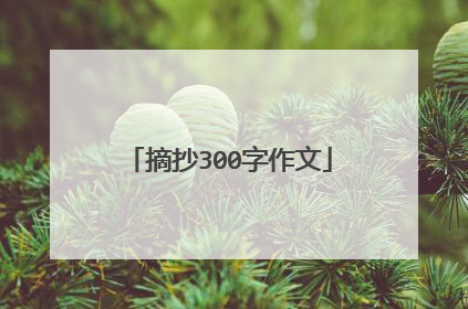 摘抄300字作文