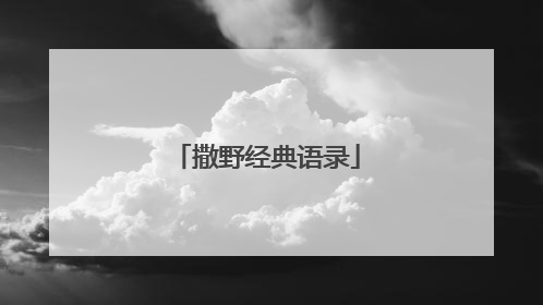撒野经典语录