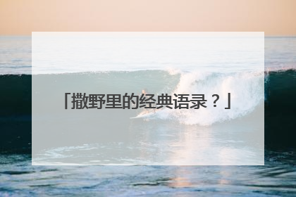 撒野里的经典语录？