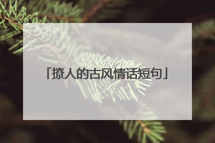 撩人的古风情话短句
