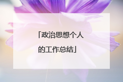 政治思想个人的工作总结