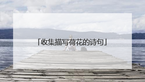 收集描写荷花的诗句
