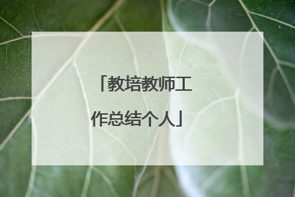 教培教师工作总结个人