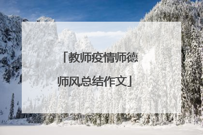 教师疫情师德师风总结作文