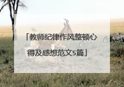 教师纪律作风整顿心得及感想范文5篇