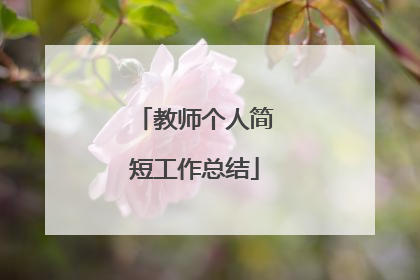 教师个人简短工作总结