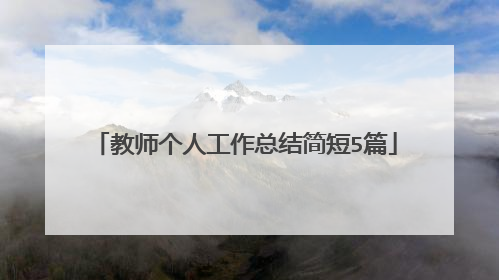 教师个人工作总结简短5篇