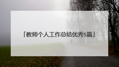 教师个人工作总结优秀5篇