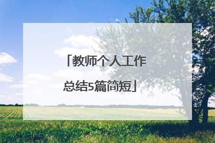 教师个人工作总结5篇简短