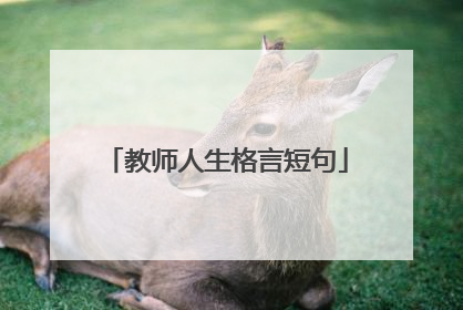 教师人生格言短句