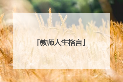 教师人生格言