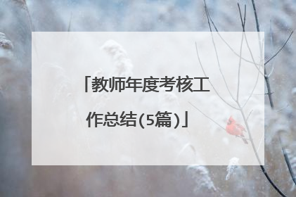 教师年度考核工作总结(5篇)