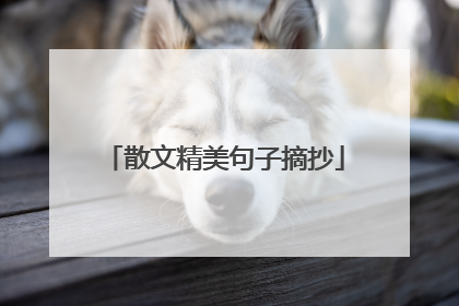 散文精美句子摘抄