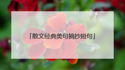 散文经典美句摘抄短句