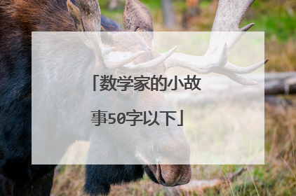 数学家的小故事50字以下