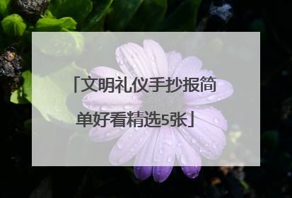 文明礼仪手抄报简单好看精选5张