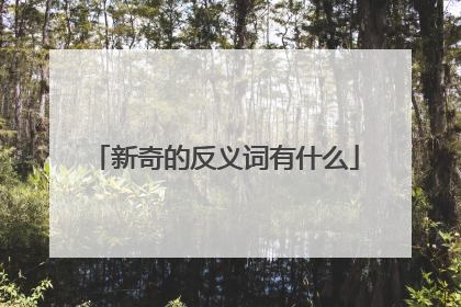新奇的反义词有什么